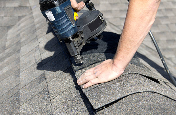 Best Solar Panel Roofing Installation  in Richardson, TX